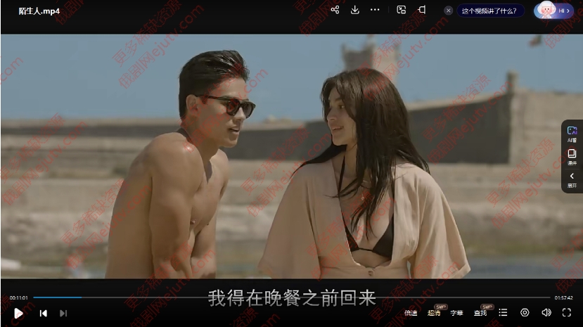 网飞玛丽苏电影《Stranger/陌生人》超清中字无删减