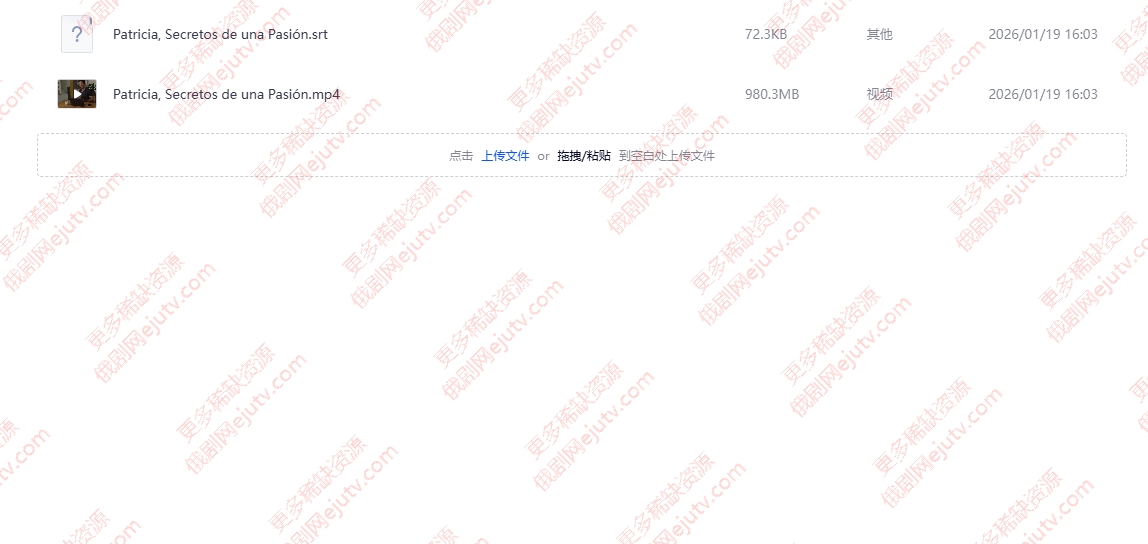 墨西哥电影《帕特里夏，激情的秘密》超清中字夸克网盘