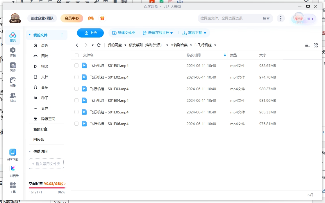 feixingjizu 资源截图2