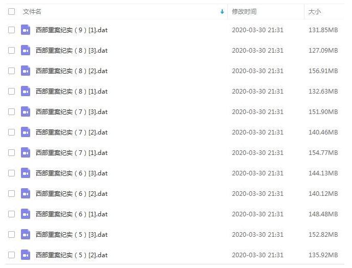 zhongguoxibuxingzhendaanjishizimeipian 资源截图2