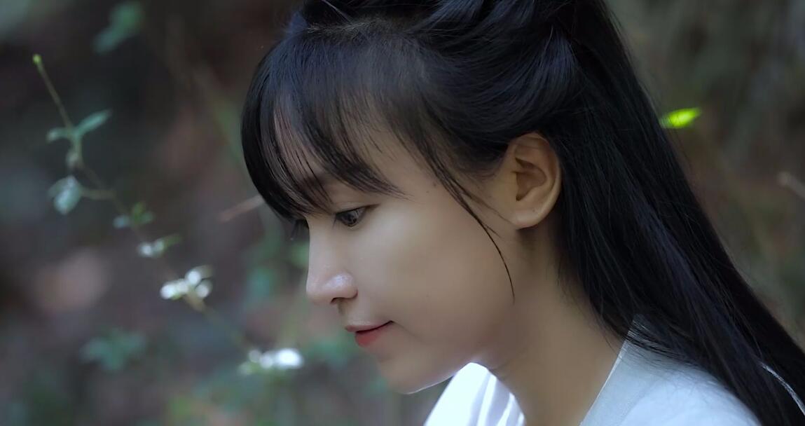 liziqiyoutubeshipin101jiheji 海报