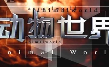 《动物世界》赵忠祥版106集赵忠祥版高清合集[百度网盘]