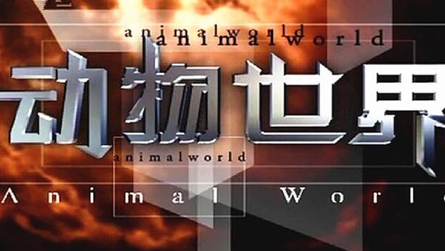 《动物世界》赵忠祥版106集赵忠祥版高清合集[百度网盘]