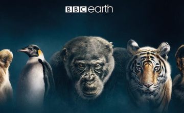 BBC纪录片378部共2500集高清英语中字[百度网盘]