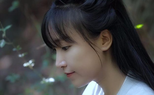 李子柒YouTube视频101集合集[百度网盘]